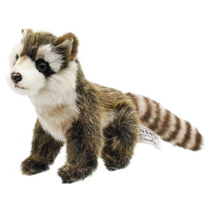 HANSA 2649 ACO}23 SF23cm DIAMOND RACCON BH2649 ʂ nT NX}X a v[g   L   yM Aj} u l` tBMA KOESEN P[Z 傫 }X
