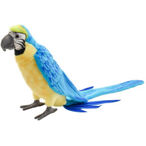 HANSA 3068 AILRSECR72 SF72cm G/B MACAW BH3068 ʂ nT NX}X a v[g   L   yM Aj} u l` tBMA KOESEN P[Z 傫
