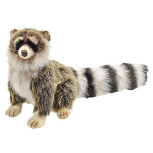 HANSA 4248 ACO}25 SF25cm RACCOON SITTING BH4248 ʂ nT 炢 XJ NX}X a v[g   L   yM Aj} u l` tBMA KOESEN 