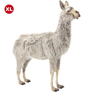 HANSA 4790 ApJ170 SF170cm ALPACA STANDING BH4790 ʂ nT NX}X a v[g   L   yM Aj} u l` tBMA KOESEN P[Z 傫 }X