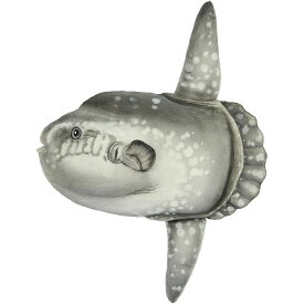 HANSA マンボウ 52 ぬいぐるみ BH8478 SUN FISH 魚 リアル ハンサ 誕生日 プレゼント 動物 犬 猫 鳥 うさぎ ペンギン アニマル 置物 人形 フィギュア 大きい マスコット 実物大 大型 巨大 ビッグ おすすめ かわいい おしゃれ