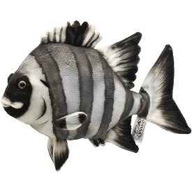 HANSA イシダイ 34 ぬいぐるみ BH8513 GIANT PARROT FISH 魚 高級魚 リアル ハンサ 誕生日 プレゼント 動物 犬 猫 鳥 うさぎ ペンギン アニマル 置物 人形 フィギュア 大きい マスコット 実物大 大型 巨大 ビッグ おすすめ かわいい おしゃれ