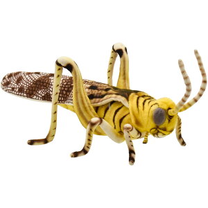 HANSA ToNgrob^ 39 ʂ BH8578 DESERT LOCUST   A OXzbp[ Q ʂ nT a v[g   L   yM Aj} u l` tBM