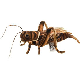 HANSA コオロギ 27 ぬいぐるみ BH8579 CRICKET 昆虫 虫 リアル ハンサ 誕生日 プレゼント 動物 犬 猫 鳥 うさぎ ペンギン アニマル 置物 人形 フィギュア 大きい マスコット 実物大 大型 巨大 ビッグ おすすめ かわいい おしゃれ