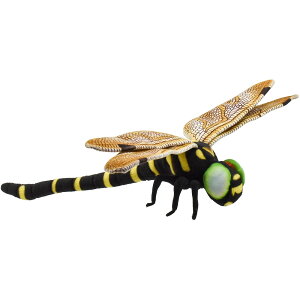 HANSA Ij} 46 g{ ʂ BH8583 GOLDEN-RINGED DRAGONFLY    A nT a v[g   L   yM Aj} u l` tBMA 傫 }XR