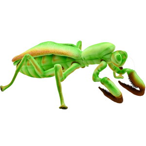 HANSA J}L 43 ʂ BH8588 PRAYING MANTIS   A nT a v[g   L   yM Aj} u l` tBMA 傫 }XRbg  ^  r