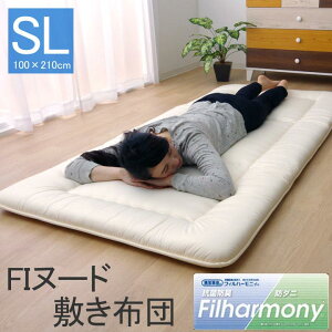 FI�k�[�h �~���z�c �_�u��