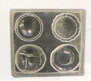 PADICO pWR \tg[h@XB[gXB[c / WGrX WNtg UVW UV  Sy ˂ p lC fR [h ^ |  Lbg f ANZT[