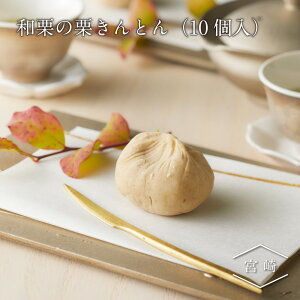 aǏIƂ 10 | YI i Gߌ { Mtg Ε Ε N  т̂  v[g 蕨 ܂邫Y  