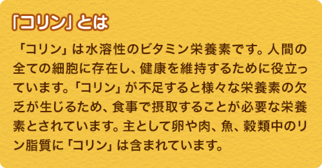 楽天市場】αGPC(アルファGPC)なら第一すこやか生活:アルファGPCの第 ...