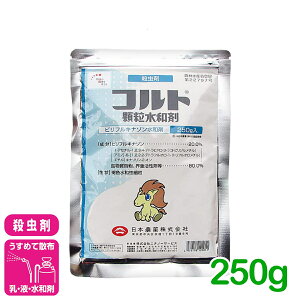 �E���� �R���g�������a�� 250g ���{�_�� �A�u�����V �R�i�W���~ ��� �ʎ� �_�� �_��y���[���֑��������z