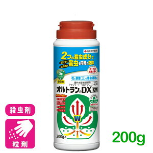 �E���� �I���g����DX���� 200g �Z�F���w���| ��� �� �ƒ�؉� ���| �A�u�����V ����