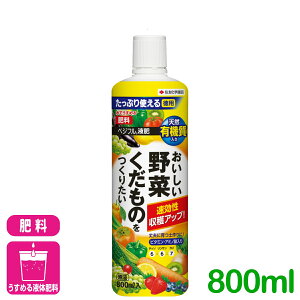 �t�̔엿 ��� �ʕ� �x�W�t���t�� 800ml �Z�F���w���| �ƒ�؉� ���| �엿 �������� �����Z�[��