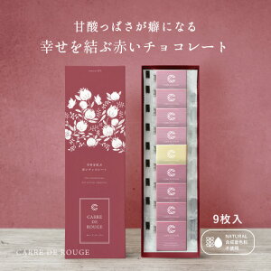 yyV1ʁ zCARREEDEEROUGE Jh[W 9 KԐԂ`R[g VR nCrXJX [[ `R yʔzzo^C@ NX}X Mtg v[g yY 