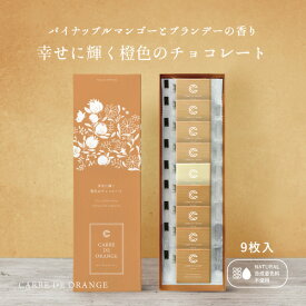 【☆楽天1位☆ 】【2024年新商品】CARRE・DE・ORANGE カレドオランジュ 9枚入り 幸せに輝く橙色のチョコレート【個別配送】 天然 バレンタイン オレンジ ターメリック チョコ ホワイトデー 入学祝い 推しチョコ 手土産 プチプラ 女子会 送料無料 ポスト投函