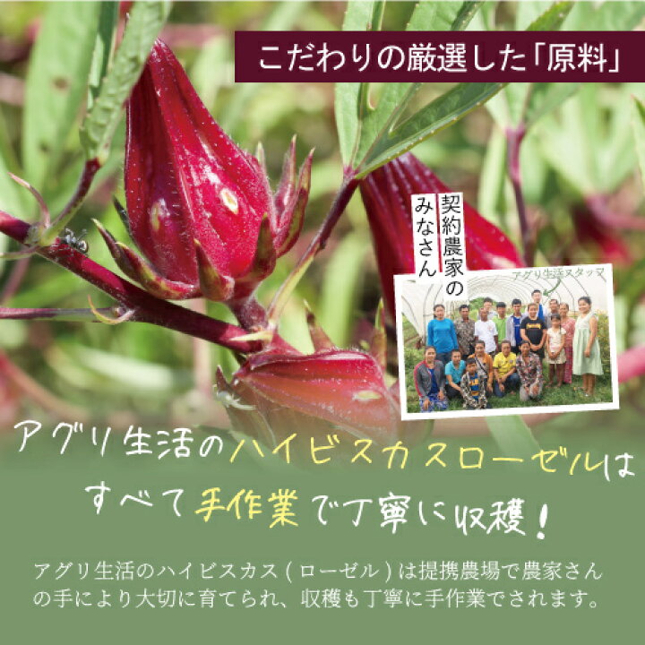 楽天市場 ピンクのお菓子 手作りコスメに ハイビスカス 15g 粉末 ローゼル パウダー赤色 赤い 天然 着色 アイシングクッキー コルネ クリスマス ケーキ デコレーション アグリ生活 食品 天然パウダー 楽天市場 ピンクのお菓子 手作りコスメに ハイビスカス 15g 粉末 ローゼル パウダー赤色 赤い 天然 着色 アイシングクッキー コルネ クリスマス ケーキ デコレーション アグリ生活 食品 天然パウダー