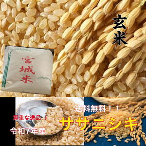 宮城ササニシキ 玄米30kg米 新米 令和7年産 ササニシキ 玄米30kg お米30kg 玄米 一等米 1等米 ブランド米 宮城県産 ササニシキ 米30kg 米30キロ お米 ごはん 玄米食 おにぎり 送料無料 米処 食材 ri
