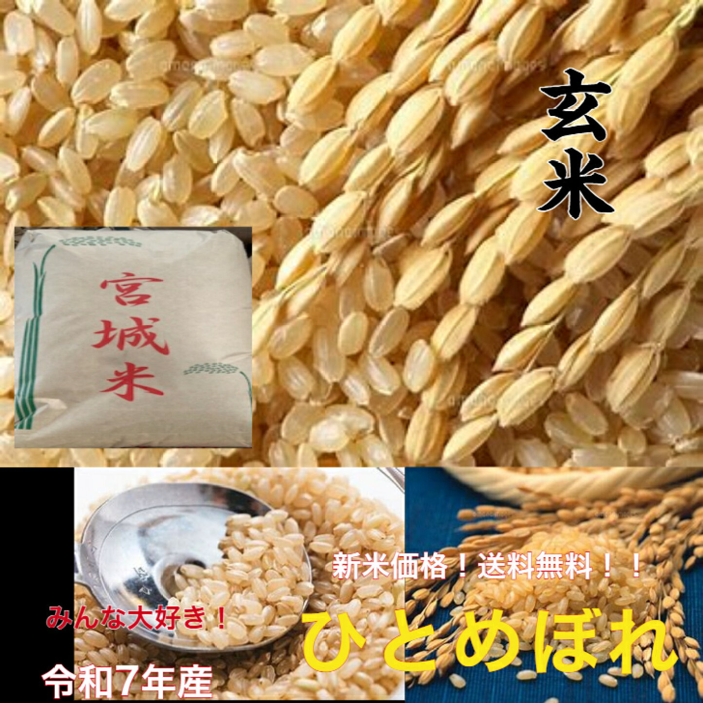 楽天市場】宮城ひとめぼれ 玄米30kg新米 令和7年産 玄米30kg 玄米30kg 