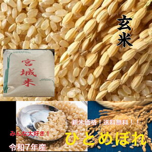 {ЂƂ߂ڂ@30kgV ߘa7NY 30kg 30kg 30kg 30kg   ꓙ 1 uh {錧Y ЂƂ߂ڂ 30kg 30L  ͂ ĐH ɂ  