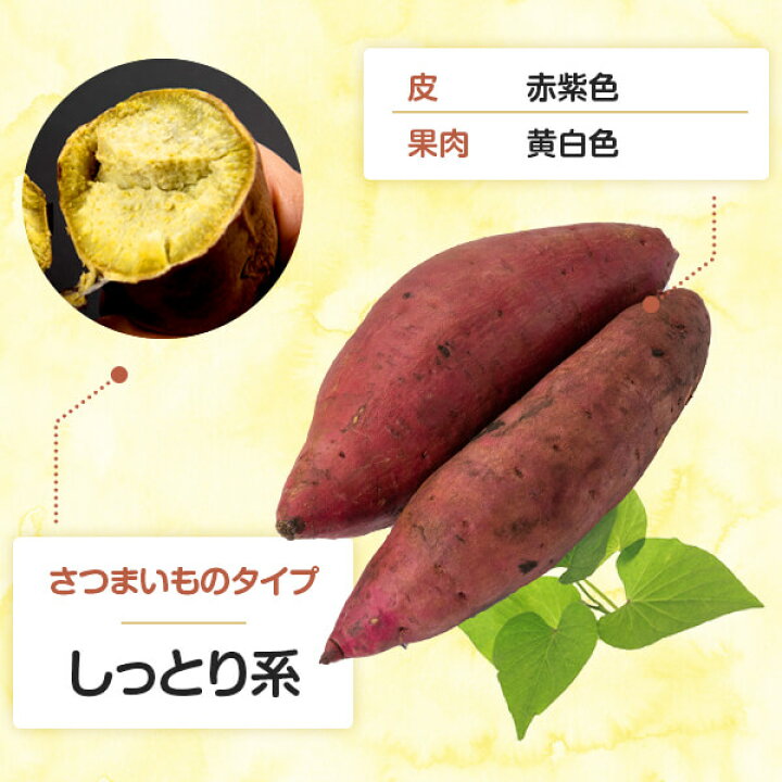 楽天市場】【サツマイモ苗】【べにはるか】芋苗 500本 さつまいも 