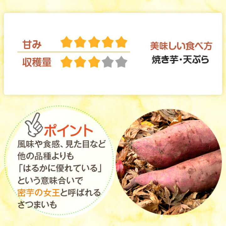 楽天市場】【ポイント+3倍】【サツマイモ苗】【べにはるか】芋苗 500 