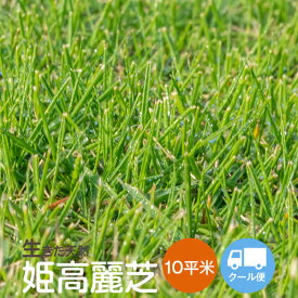 【姫高麗芝】10平方m 【次回の最短出荷日は7/15予定】天然芝 芝生 芝 ガーデニング 宮崎産 高品質【クール便】【送料無料(北海道・東北・沖縄・離島等一部地域 を除く)】