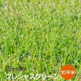 楽天市場 高麗芝 販売の通販 楽天市場 高麗芝 販売の通販
