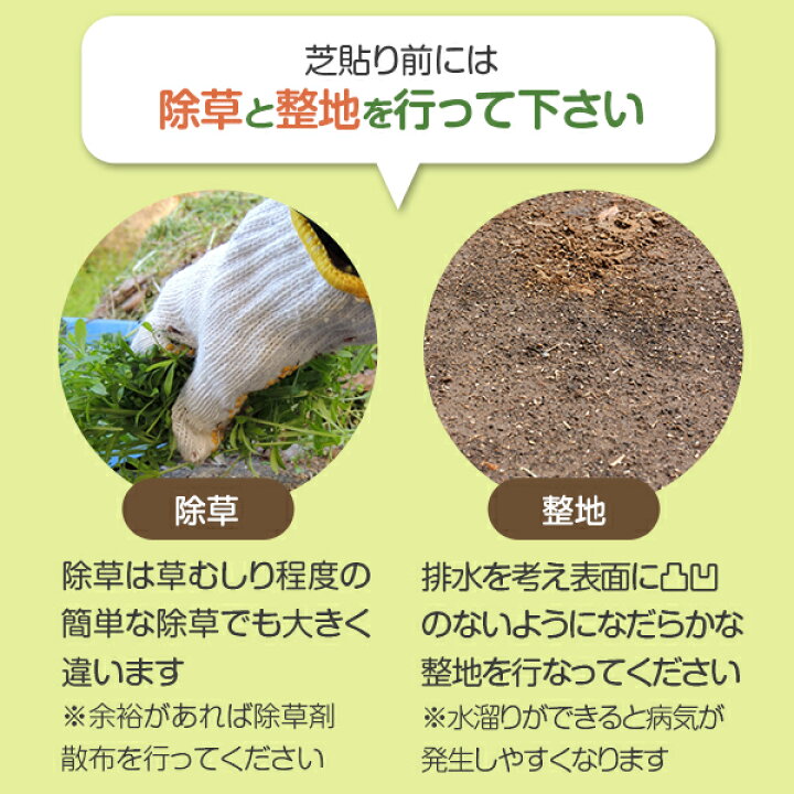 楽天市場 22年4月度月間優良ショップ受賞 野芝 1平米 天然芝 芝生 芝 ガーデニング 宮崎産 高品質 普通便 送料無料 ただし 北海道 沖縄 離島 を除く アグリショップひむか