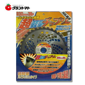 yʃ`bv\[ 230mm×36P 30 @pn bVyʃ^Cv ԏ镨Y