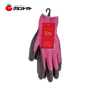 12/10 19~22P3{ _Ƃ NSR-45 STCY 10o sN ̂X^C@j[h