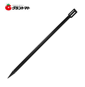 A[Y 65cm 250{ P[X̔ A[V[gl ~l@Y