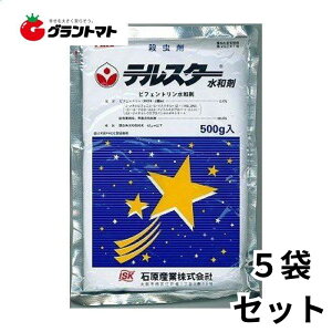 eX^[a 500g×5 ėpE _ ΌoCITCGXy񏤕iz