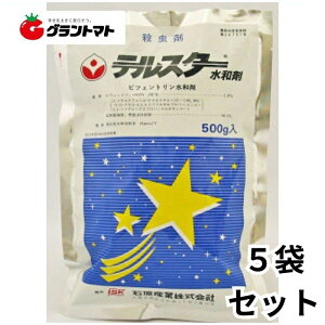 eX^[a 100g×5 ėpE _ ΌoCITCGXy񏤕izy[ցz