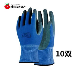 VRSw 10o u[ MTCY 13Q[W CgV[Y ӂ