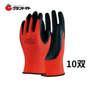 11/5 11:00`23:59P3{I VRSw 10o bh MTCY 13Q[W CgV[Y ӂ