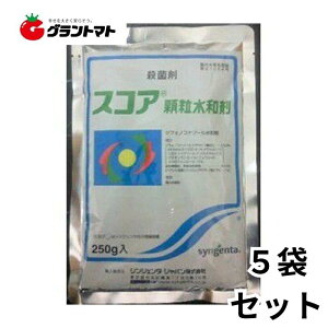 XRAa 250g×5܃Zbg ʎEۍ _ VWF^Wp