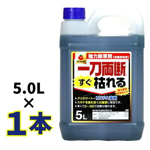 Iōő100%|CgobN ꓁f͂ 5L U^Cv  ߃^Cv _knp OzT[g34 MCP ͂₭