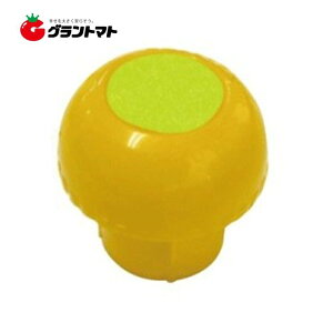 AZPǃLbv vY˃V[t 48.6p 200 S