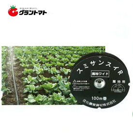 潅水チューブ スミサンスイ R 100m 露地ワイド 住化農業資材【取寄商品】