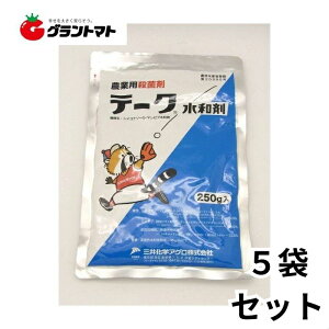 e[Na 250g×5܃Zbg Eۍ \h _ O䉻wAOy񏤕iz