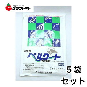 xN[ga 500g×5܃Zbg Eۍ _ O䉻wAOy񏤕iz