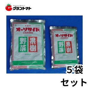 I[\TCha80 500g×5܃Zbg KEۍ _ AX^CtTCGXy񏤕iz