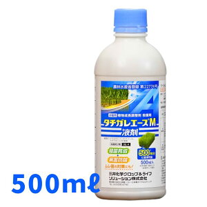 Iōő100%|CgobN y݌Ɍz^`KG[XMt 500ml cpEۍ _y񏤕iz