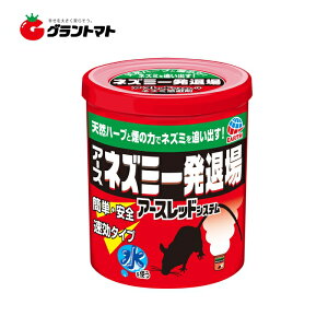 12/5IXSi|Cg3{ lY~ꔭޏ 񉌃^Cv 10g 20P[X̔ A[Xy񏤕iz