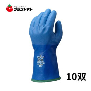 heX No282 MTCY 10o Nу|E^ V[O[u