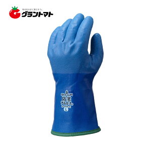 heX No282 LLTCY 5o Nу|E^ V[O[u