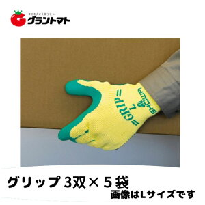 Obv(\tg^Cv) No313 O[ STCY 3o×5 VRS V[O[u