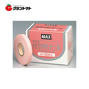 e[v200-L 11mx19m(ꊪ) sN 300(10×30) P[X̔ }bNX