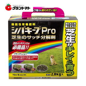 VoL[vProTb` 2.8kg 6 C{[iy񏤕iz