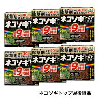 【P5倍 4/10 20時~2h限定】ネコソギトップF 3kg×6個 除草剤 顆粒 レインボー薬品 ネコソギトップW後継品